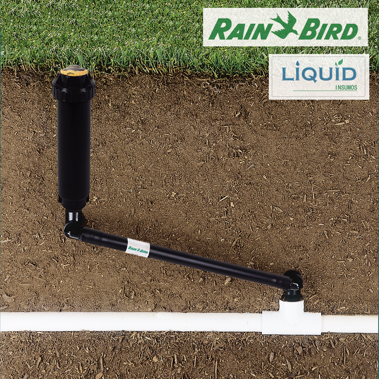 Detalle de brazo articulado swing joint