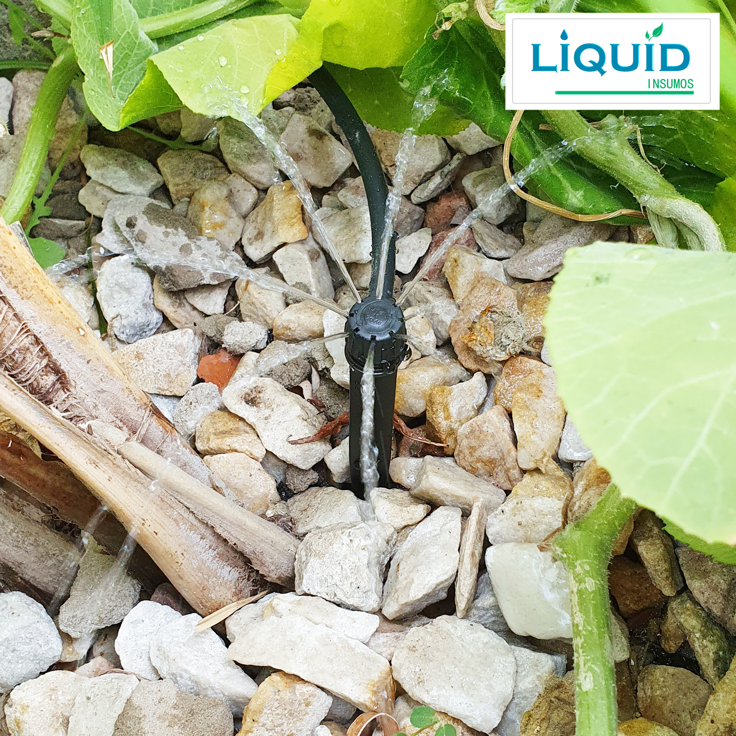 Gotero regulable aplicación en canteros